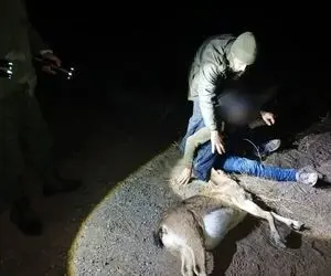 معماری طبیعت؛ بز کوهی بخت برگشته زیر برف مدفون شده بود که قهرمانان اتریشی نجاتش دادن