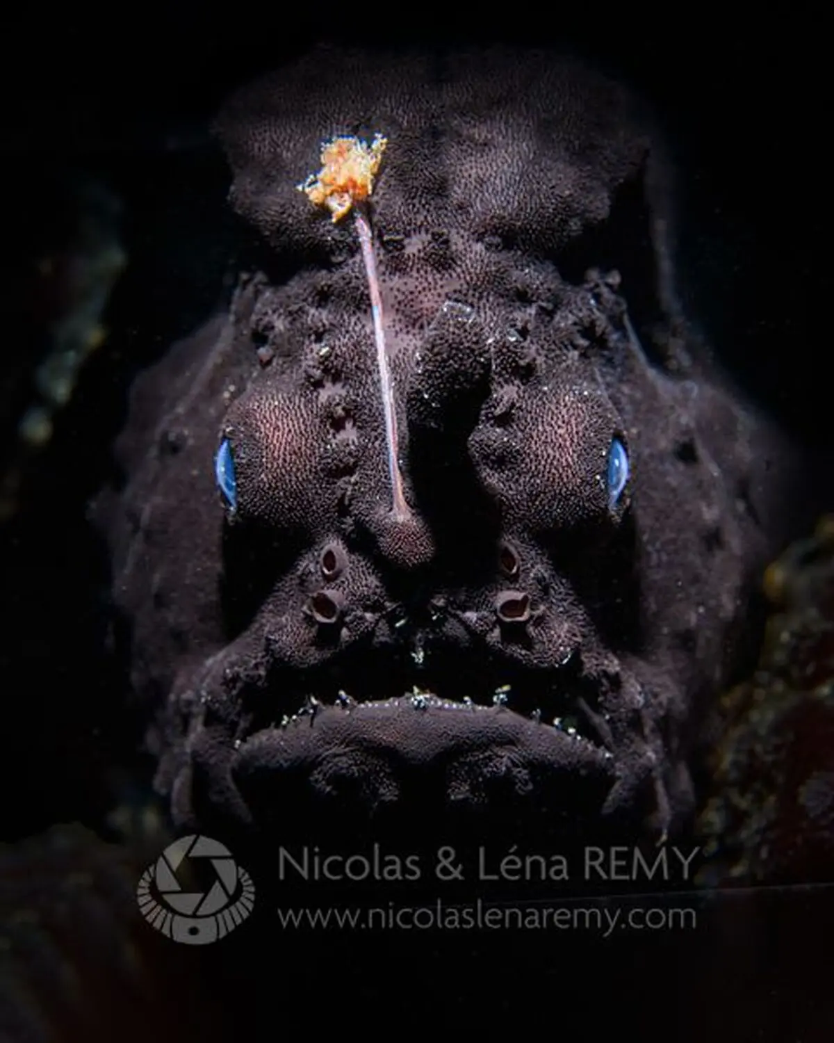 NLR_8804-Modifier-2_2_xlarge