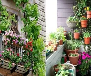 گیاهان آپارتمانی خاص برای بالکن؛ تراسی بسازید که رهگذرهای خیابون با انگشت نشونش بدن