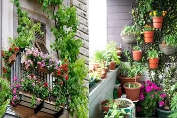 گیاهان آپارتمانی خاص برای بالکن؛ تراسی بسازید که رهگذرهای خیابون با انگشت نشونش بدن
