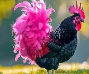 کارخانه حیوانات؛ زیبا سازی اکوسیستم با مهندسی ژنتیک حیوانات و دستیابی به نسل برتر