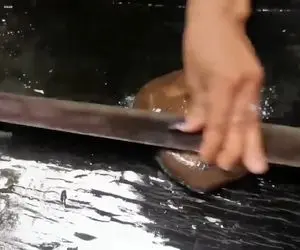 کباب سگ؛ سگ مرده میندازه تو آتیش نیم پز شد اسلایس و با سیر و پیاز سرخش میکنه