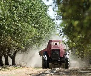 ماشین آلات مدرن؛ ماشین ویژه حرص درخت عین فرفره از لای درختا میره و شاخه ها رو میزنه