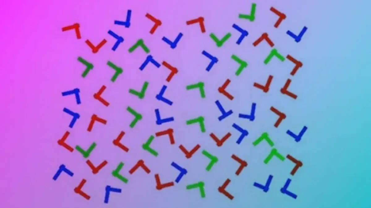 2221659_964