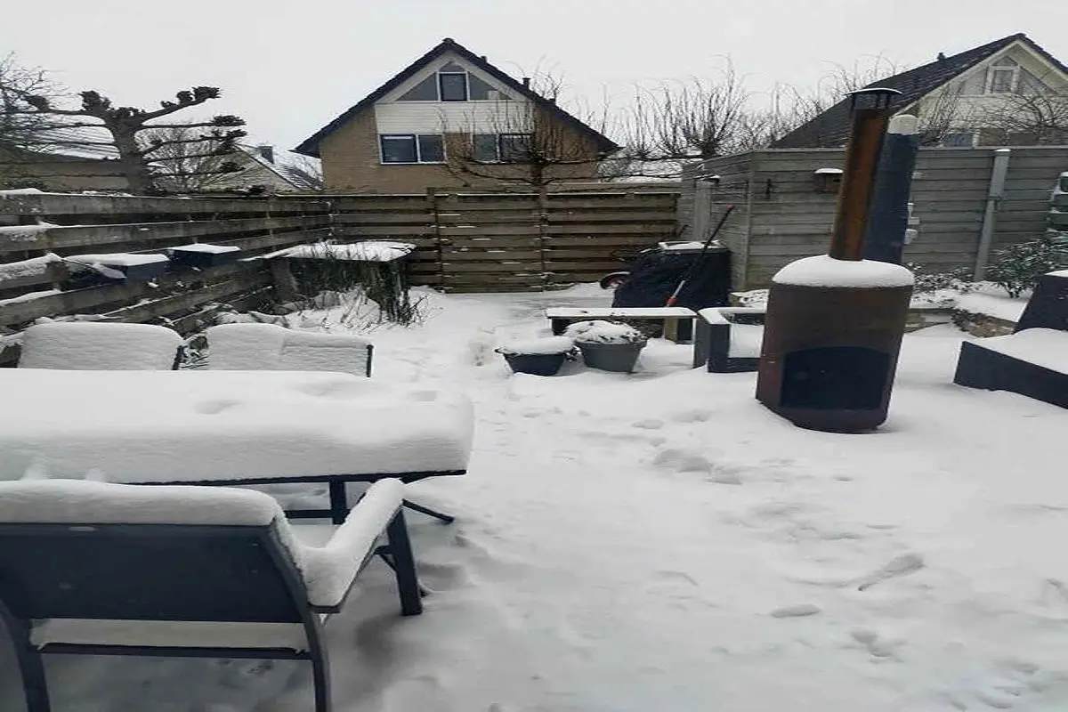 تست-بینایی-بافتن-گربه-در-محیط-برفی