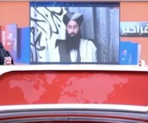 (ویدئو) استاد دانشگاه کابل سخنگوی طالبان را گوساله خطاب کرد!