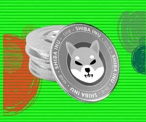 وقت شادی کاربران شیبااینو رسیده!