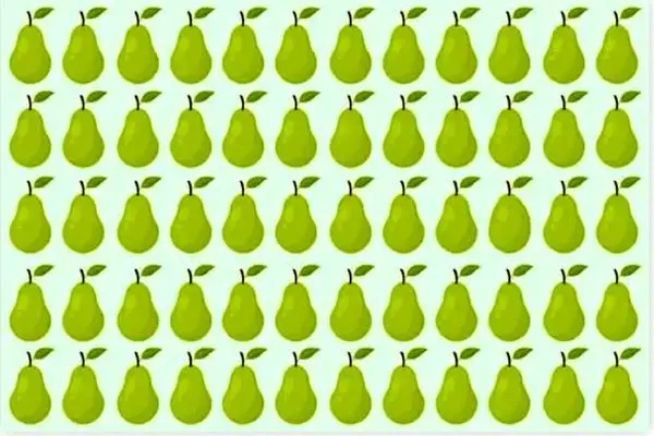 بازی فکری؛ گلابی قناص رو بین اینهمه گلابی یه شکل پیدا کردن کار هرکسی نیست