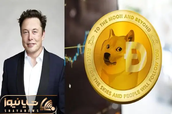 dogecoin elonmusk