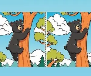 بازی فکری؛ اگه بتونی تفاوت خرس رو درخت رو بگی باید آکسفورد رو بغل کنی