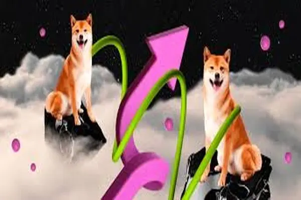 SHIBAINU