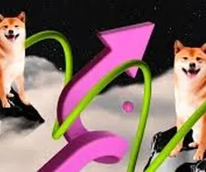 چرا کاربران به سمت شیبا سرازیرشدند؟