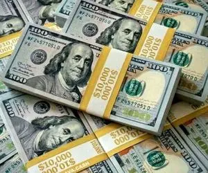 آقای زاکانی، دلار نخریدیم، ضررش را شما میدهید؟ 