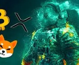 رابطه‌ای عجیب از بیت کوین وشیبااینو رونمایی شد!