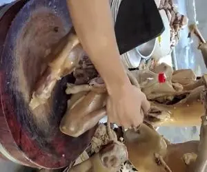 کباب سگ؛ گردن سگ نازنازی و زد واق واقش کم شه از کوره آتیش رد کرد قاچ شده فروخت