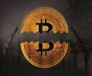 "بیت کوین" با کمک نهنگ ها به عرصه ارز دیجیتال بازگشت؟