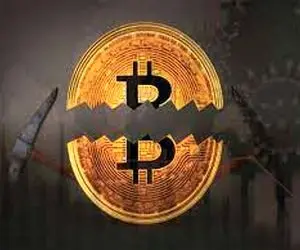 "بیت کوین" با کمک نهنگ ها به عرصه ارز دیجیتال بازگشت؟