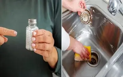 نمک؛ دستیار ساده و قدرتمند برای تمیز کردن آشپزخونه‌/ قهرمانی برای پاکیزگی آشپزخونه