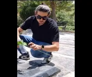 آواز خیابانی؛ ببینید پسره چه دلشکسته و سوزدار سرمزار مرتضی پاشایی آهنگ خودش رو میخونه