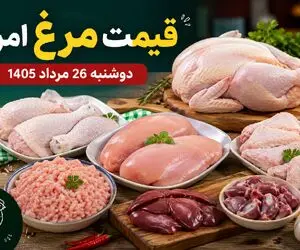 قیمت مرغ امروز دوشنبه 26 مرداد 1405 / مرغ کامل چقدر شد؟