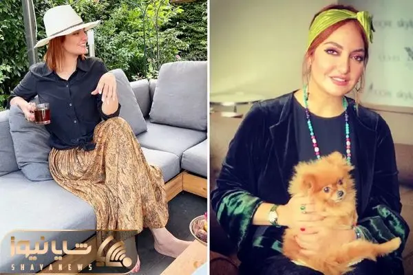 mahnaz afshar shayanews