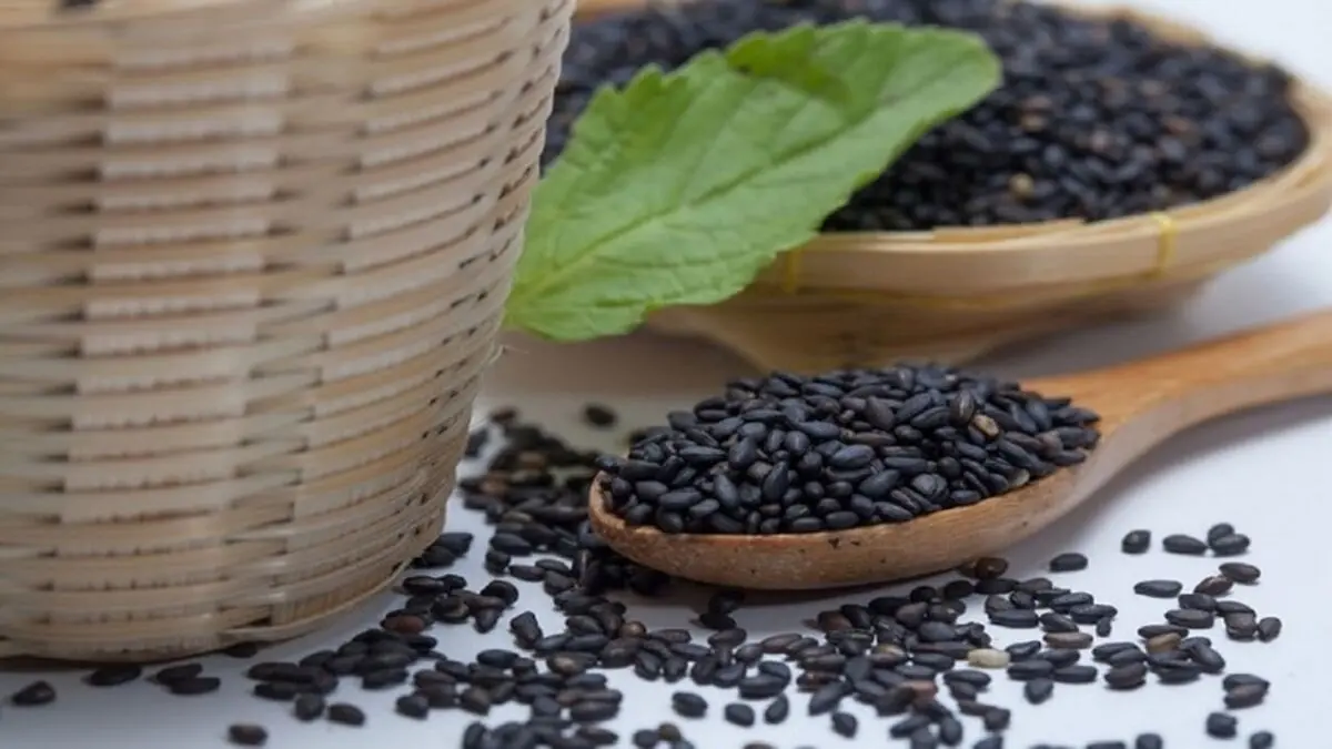 4bv7b09635d86f1m362_800C450
