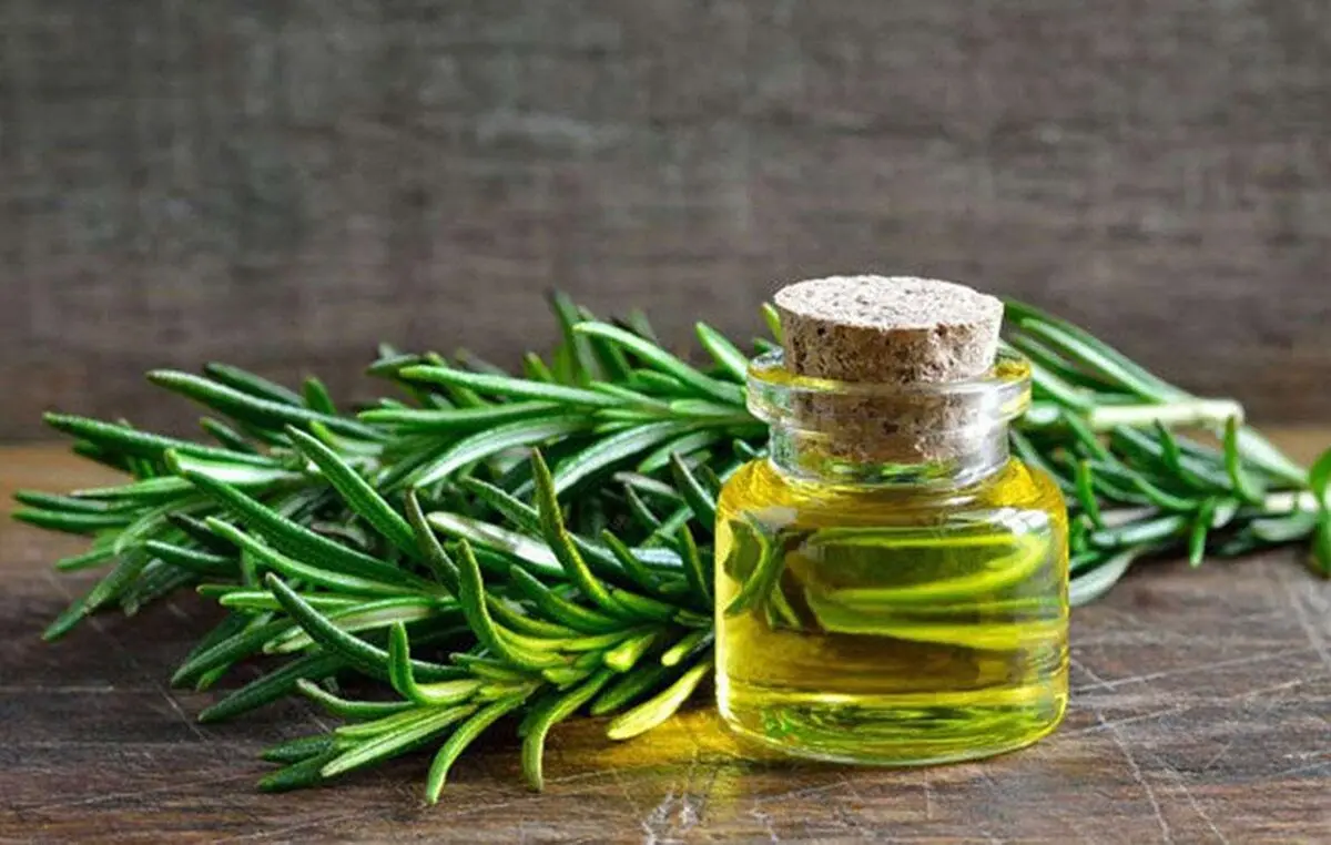 گیاه هایی که برای رشد مو خوب است