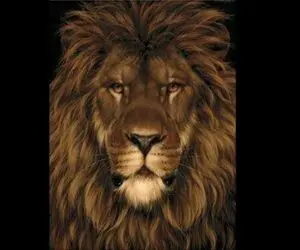 بازی فکری؛ تا الان فقط یه نفر تو دنیا تونسته موش عکس رو پیدا کنه تو دومی میشی یا نه