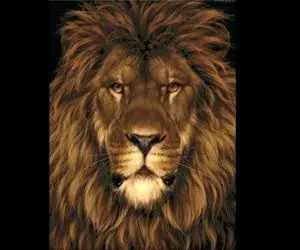 بازی فکری؛ تا الان فقط یه نفر تو دنیا تونسته موش عکس رو پیدا کنه تو دومی میشی یا نه