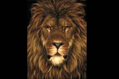 بازی فکری؛ تا الان فقط یه نفر تو دنیا تونسته موش عکس رو پیدا کنه تو دومی میشی یا نه