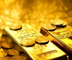 قیمت طلا و سکه امروز شنبه ۱۹ آبان ۱۴۰۳ / سکه های ضرب ۱۴۰۳ بازار را ریزشی کرد