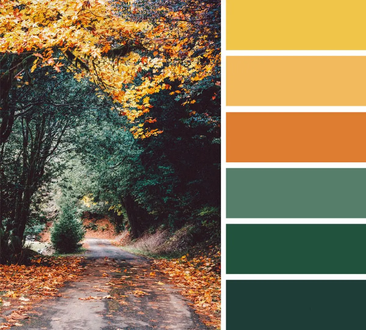 Yellow-Nature