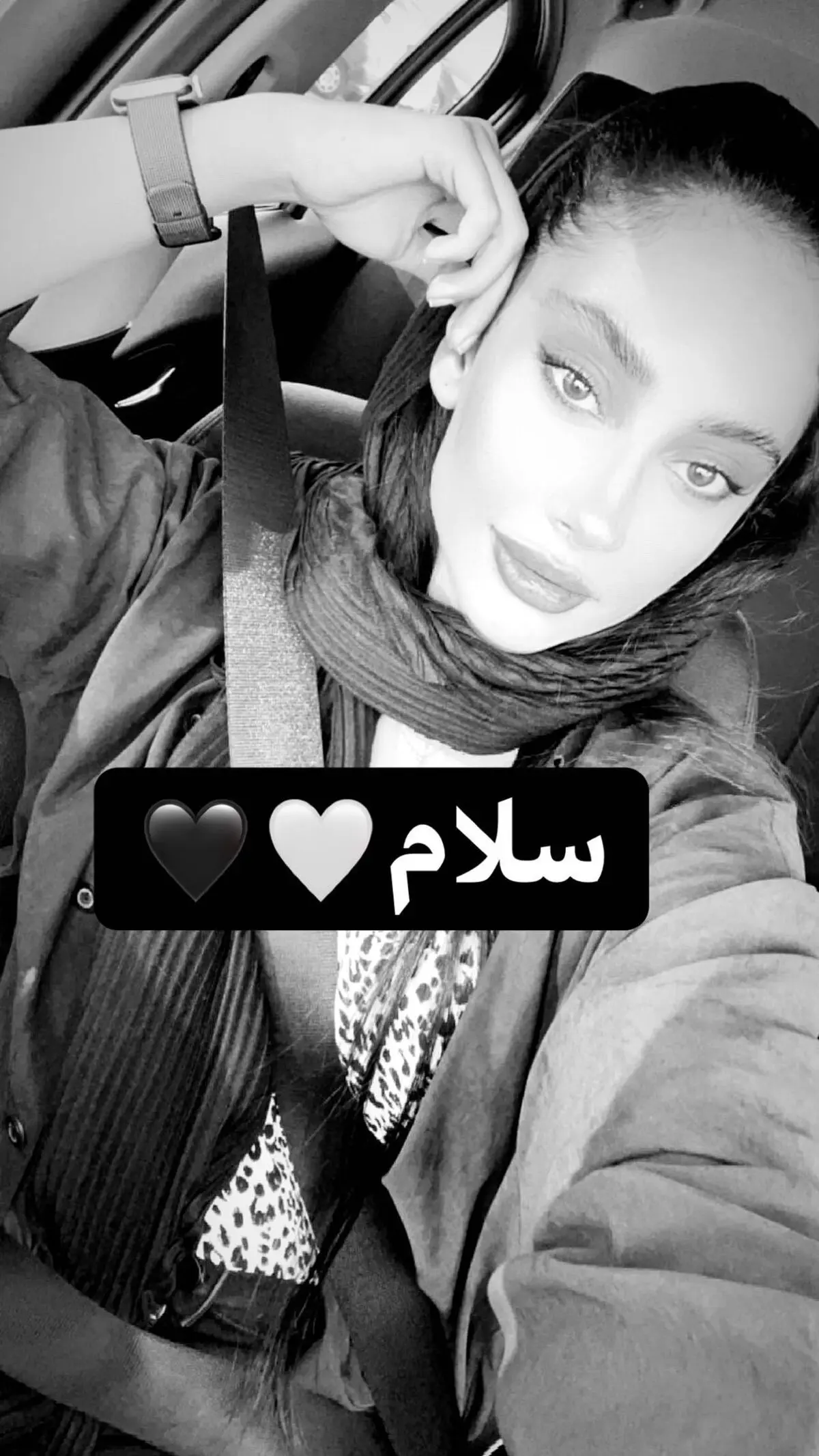 ترلان پروانه