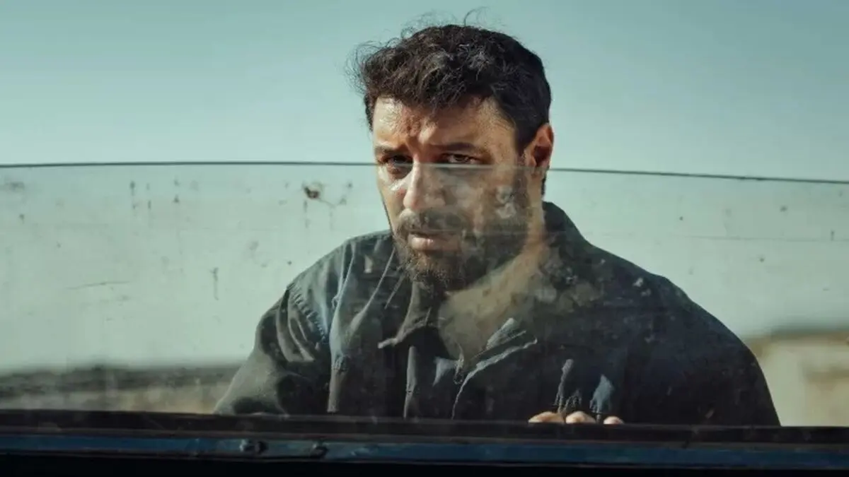 جوائد