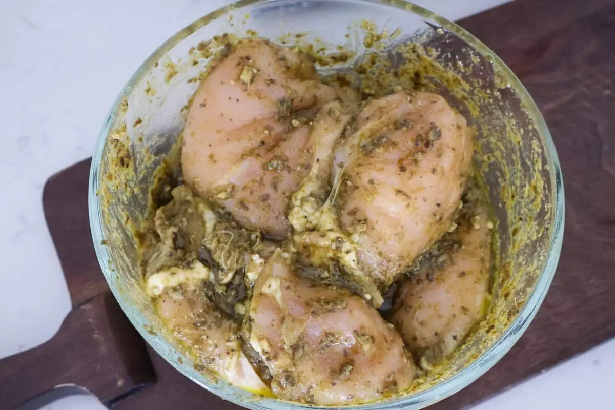 جوجه پستو