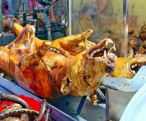 کباب سگ؛ سگ نازنازی و بعد آبپز کردن درسته به سیخ کشیدن اسلایسی سرو کردن