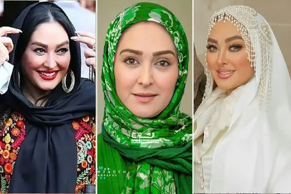 elham hamidi shayanews