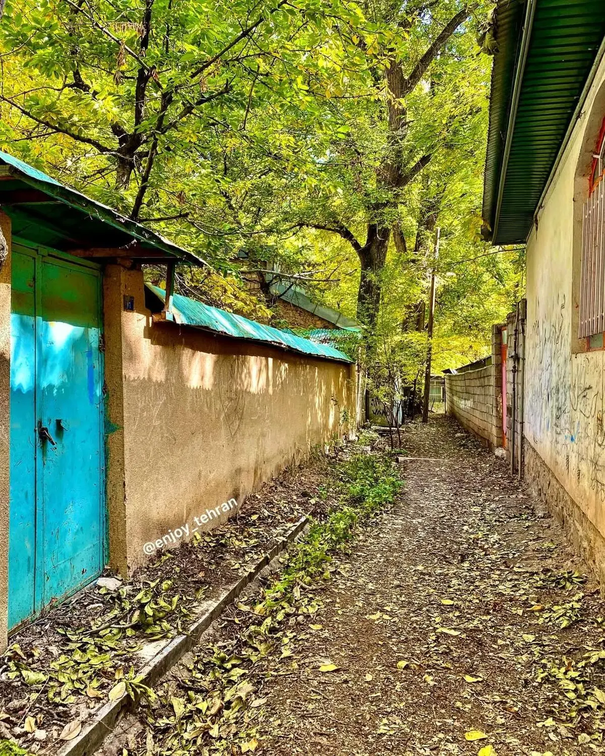 123135700_346333560003060_7601903923227175219_n