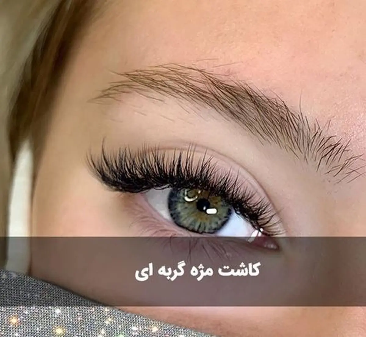 گربه ای