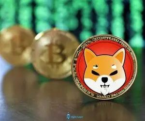 بااین انفجارچه اتفاقی برای شیباودوج کوین افتاد؟