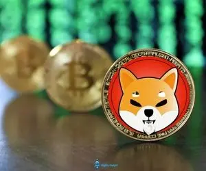 بااین انفجارچه اتفاقی برای شیباودوج کوین افتاد؟