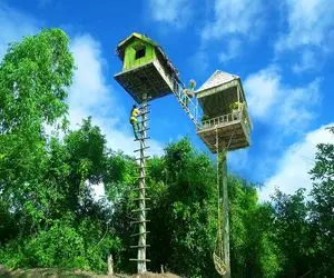 معماری خلاقانه؛ برای اینکه تو اعماق جنگل خوراک خرس نشه با دسته بیل نوک درخت خونه ساخت