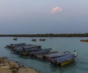 زندگی در قشم
