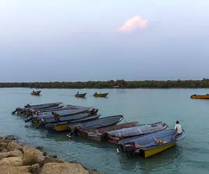 زندگی در قشم
