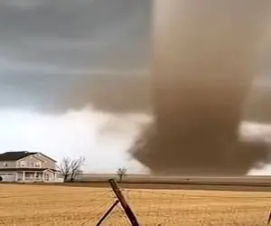 معماری طبیعت؛ گردباد برای کلبه نقشه های شوم داشت