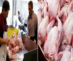 قیمت مرغ امروز چهارشنبه ۱۶ اردیبهشت ۱۴۰۵ + جدول