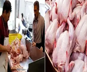 قیمت مرغ امروز چهارشنبه ۱۶ اردیبهشت ۱۴۰۵ + جدول