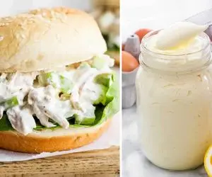 رازهای سلامتی؛ مایونز دقیقاً با بدن شما چه می‌کند؟ ساختار، ترکیب و اثرات آن بر سلامتی