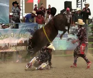 تاخت‌وتازهای خونین؛ گاو عصیانگر گاوچرونو ترکوند با شاخ حمله کرد به تماشاچیا