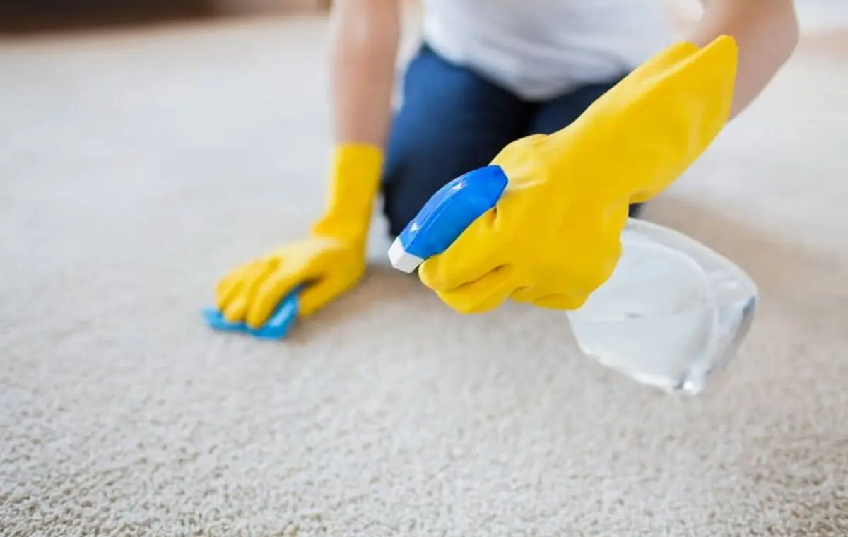 how-to-clean-your-carpets